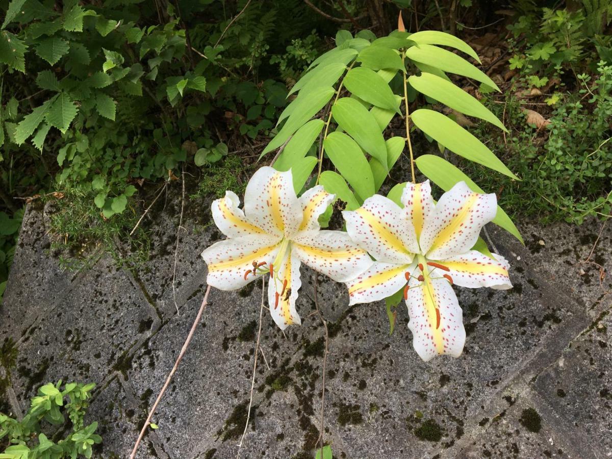 Pension ぽかぽか（Poka Poka） Katashina Экстерьер фото